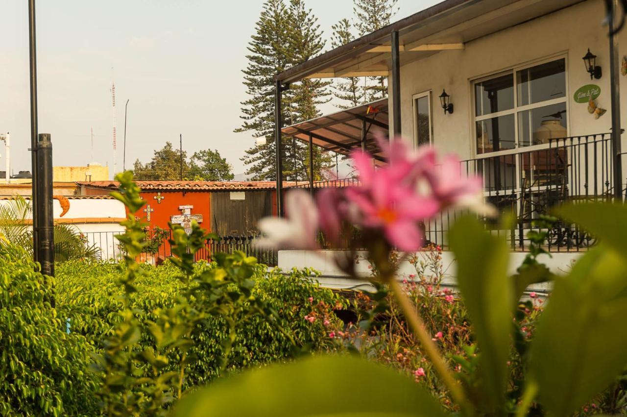 Oaxaca Las Mariposas Hotel & Studios מראה חיצוני תמונה