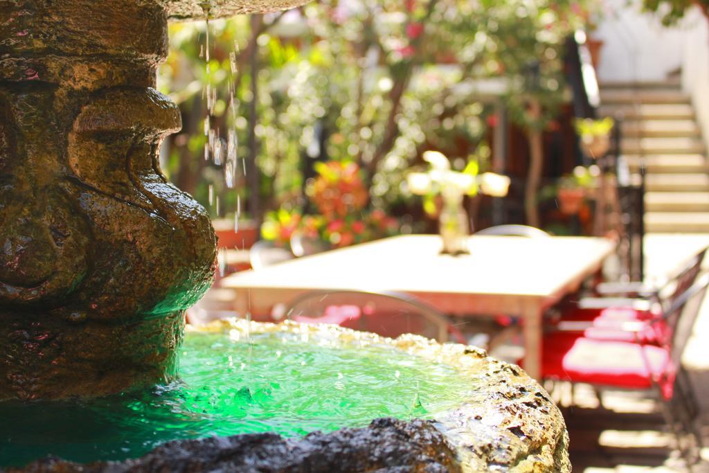 Oaxaca Las Mariposas Hotel & Studios מראה חיצוני תמונה